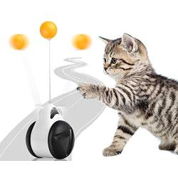 SEALAYE Interactive Cat Toys Catnip Ball Toy Balance Swing Car Stimulate Hunting Instinct Kitten Funny Chaser Pet Tumbler Automatic Toy for Indoor Play