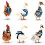 Lansiger Adjustable Chicken Harness with Leash Small Pet Harness for Duck Goose Hen Traning Walking