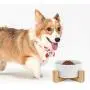 WANTRYAPET Ceramic Raised Cat Dog Bowls, Elevated Food Water Dog Feeder, Bamboo Stand with 4 Anti-Slip Stick Pad, Protect Neck Joints Pet Feeding Bowls WANTRYAPET Ceramic Raised Cat Dog Bowls, Elevated Food Water Dog Feeder, Bamboo Stand with 4 Anti-Slip Stick Pad, Protect Neck Joints Pet Feeding Bowls