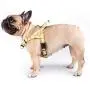 iChoue Dog Harness Easy On and Off Front Back 2 Leash Attachments Adjustable Lightweight Harness for Small and Medium Dogs