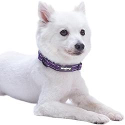 Blueberry Pet Essentials 9 Colors Safe & Comfy Reflective Classic Solid Color Dog Collars