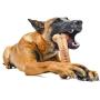 Pet Qwerks Alien BarkBone - for Aggressive Chewers, Made in USA