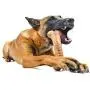 Pet Qwerks Alien BarkBone - for Aggressive Chewers, Made in USA Pet Qwerks Alien BarkBone - for Aggressive Chewers, Made in USA