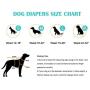 Deriving heliconia Reusable Washable Highly Absorbent Female Dog Diapers Breathable Dog Panties (3 Pack)