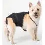 Dog Diaper Wrap SMALL (LONG) BLUE Dog Diaper Wrap SMALL (LONG) BLUE