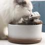 Ceramic Cat Drinking Water Fountain, Pet Water Fountains for Cats And Dogs, Electric Pet Water Dispenser with Quiet Pump