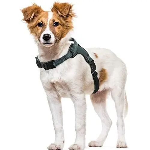 rabbitgoo Dog Harness, Adjustable Dog Walking Harness with Handle and Shock-Absorbing Bungee Straps, Reflective Dog Vest Harness No Choke, Halter Harness with Padded Strap for Medium Dogs, M