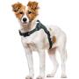 rabbitgoo Dog Harness, Adjustable Dog Walking Harness with Handle and Shock-Absorbing Bungee Straps, Reflective Dog Vest Harness No Choke, Halter Harness with Padded Strap for Medium Dogs, M rabbitgoo Dog Harness, Adjustable Dog Walking Harness with Handle and Shock-Absorbing Bungee Straps, Reflective Dog Vest Harness No Choke, Halter Harness with Padded Strap for Medium Dogs, M