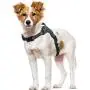 rabbitgoo Dog Harness, Adjustable Dog Walking Harness with Handle and Shock-Absorbing Bungee Straps, Reflective Dog Vest Harness No Choke, Halter Harness with Padded Strap for Medium Dogs, M
