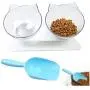 Apofly 1Set Cat Food Bowls Cat Dish Elevated Cat Bowls Pet Feeder Elevated Cat Feeding Bowlscat Bowls with Stand Raised Transparent