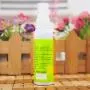 Pet Cat Catnip Spray for Scratching Post Natural Healthy Toys to Make Cat be Excited Catnip Organic Liquid Fresh Extract Spray Teaser Cat 1PC