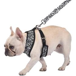 Now House by Jonathan Adler for Pets Dog Harnesses | Reversible Harnesses for Dogs Available in Multiple Prints and Sizes | Comfortable and Chic Dog Accessories for All Dogs