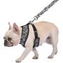 Now House by Jonathan Adler for Pets Dog Harnesses | Reversible Harnesses for Dogs Available in Multiple Prints and Sizes | Comfortable and Chic Dog Accessories for All Dogs