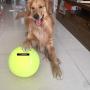 GPOL STORE Dog 9.5'' Big Tennis Ball Giant Thrower Play Toy Pet Cat Puppy Oversize Jumbo Outdoor Indoor