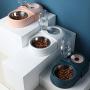 PETCARE Double Dog Cat Bowls Water and Food Bowl Set Detachable Stainless Steel Bowl Automatic Water Dispenser Bottle Pet Feeder for Small Medium Size Dog Cat
