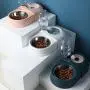 PETCARE Double Dog Cat Bowls Water and Food Bowl Set Detachable Stainless Steel Bowl Automatic Water Dispenser Bottle Pet Feeder for Small Medium Size Dog Cat PETCARE Double Dog Cat Bowls Water and Food Bowl Set Detachable Stainless Steel Bowl Automatic Water Dispenser Bottle Pet Feeder for Small Medium Size Dog Cat