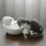 KNDJSPR Lotus Cat Waterer, Automatic Ceramic Drinking Fountain, Soften Water Prevent Dry Burning, 6 Replaceable Filters, for Bedroom Balcony Living Room KNDJSPR Lotus Cat Waterer, Automatic Ceramic Drinking Fountain, Soften Water Prevent Dry Burning, 6 Replaceable Filters, for Bedroom Balcony Living Room