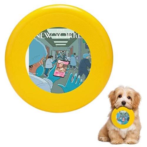 Pet Frisbee Flying Disc Dog Toy - Multifunction Bedtime Chris Ware