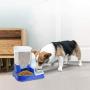 PAWISE Pet Feeder Food Dispenser Dog Self-Feeding Bowl Cat Automatic Feeder 5L Capacity