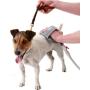 PetZen Woof-Ah Bath Mitt