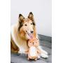 Pearhead Pet Toy, Toys for Small, Medium or Large Dog, Durable Chew Fetch Toy