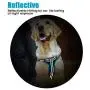 Petties&Sweeties No Pull Dog Harness, Reflective Adjustable Soft Padded Vest Unique Colors,with a Easy Control Training Handle