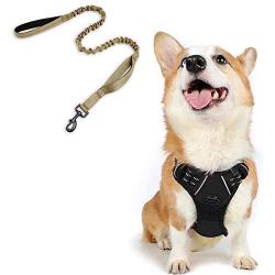 rabbitgoo Dog Harness & Tactical Bungee Dog Leash - Adjustable No Pull Soft Padded Dog Vest with Leash Clips (M) | Safety and Comfort Elastic Leads Rope for Military Dog Training