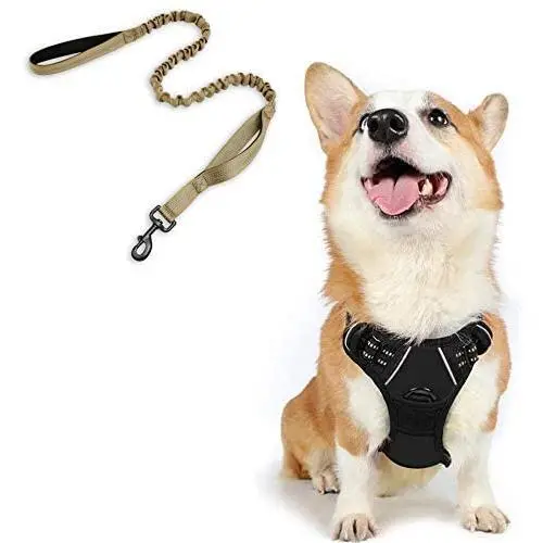 rabbitgoo Dog Harness & Tactical Bungee Dog Leash - Adjustable No Pull Soft Padded Dog Vest with Leash Clips (M) | Safety and Comfort Elastic Leads Rope for Military Dog Training rabbitgoo Dog Harness & Tactical Bungee Dog Leash - Adjustable No Pull Soft Padded Dog Vest with Leash Clips (M) | Safety and Comfort Elastic Leads Rope for Military Dog Training
