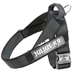 Julius-K9 IDC Color & Gray Belt Harness for Dogs