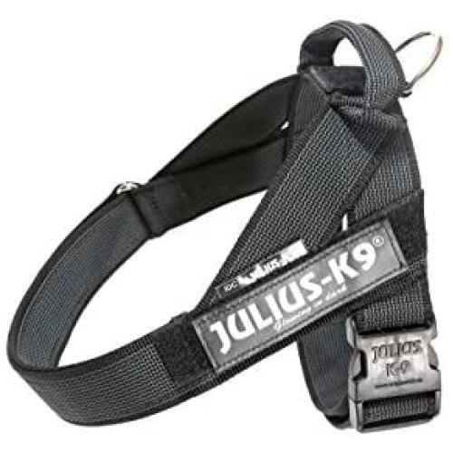 Julius-K9 IDC Color & Gray Belt Harness for Dogs