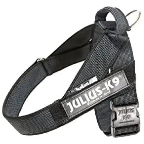 Julius-K9 IDC Color & Gray Belt Harness for Dogs