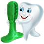 Pet Dog Toothbrush Pet Brushing Stick Teeth Cleaning Chew Toy Dogs Pet Oral Care