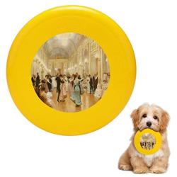 Pet Frisbee Flying Disc Dog Toy - Multifunction The Ball Victor Gabriel Gilbert