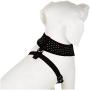 Puppia Dotty Harness A