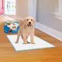 Wee-Wee Puppy Training Pee Pads 100-Count 22'' x 23'' Standard Size Odor Control Pads