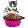 KIQ Pop-up Dog Bowl & Pet Bowl Collapsible Travel Silicone Camping/Hiking/Walking Crate Dish Bowl with Carabiner Clip [2 Cup Set] Travel-Size Folding Dog Portable (Pink/Purple, Large)