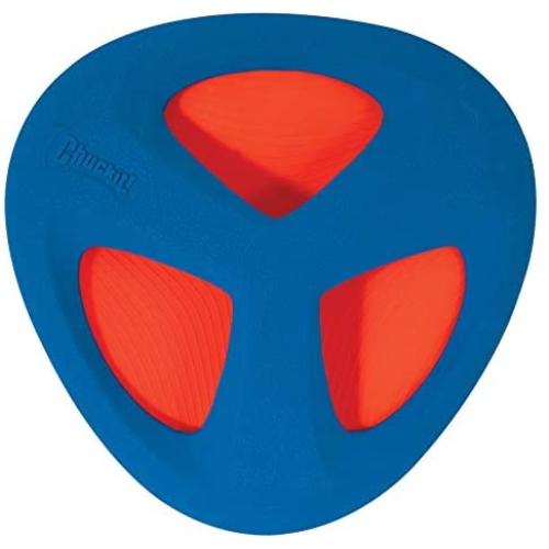 CHUCKIT FETCH FLYER