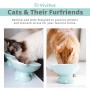 ViviPet Raised Ceramic Cat Food Q Bowl Dish, Tilt Angle Protect Cats Spine, Gift for Cat