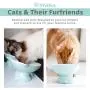 ViviPet Raised Ceramic Cat Food Q Bowl Dish, Tilt Angle Protect Cats Spine, Gift for Cat ViviPet Raised Ceramic Cat Food Q Bowl Dish, Tilt Angle Protect Cats Spine, Gift for Cat