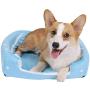Spring Fever Hamster Guinea Pig Rabbit Dog Cat Chinchilla Hedgehog Bird Small Animal Pet Bed House Hideout Cage Accessorie