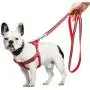 From Zero Small Dog Harness and Leash Set Step in Dogs Puppy Harness Pet Vest and for French Bulldog