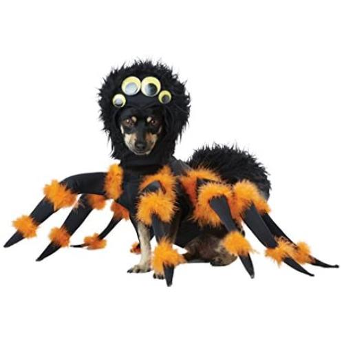 California Costumes Pet Spider Pup Dog Costume Costume