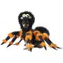 California Costumes Pet Spider Pup Dog Costume Costume