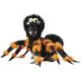 California Costumes Pet Spider Pup Dog Costume Costume California Costumes Pet Spider Pup Dog Costume Costume