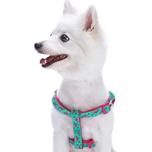 Blueberry Pet Essentials 2 Patterns Zoo Fun Dog Harnesses Blueberry Pet Essentials 2 Patterns Zoo Fun Dog Harnesses