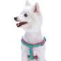 Blueberry Pet Essentials 2 Patterns Zoo Fun Dog Harnesses