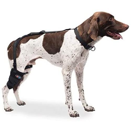 Caldera Pet Therapy Short Stifle Wrap with Gel, Medium, Black (PET207)