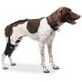 Caldera Pet Therapy Short Stifle Wrap with Gel, Medium, Black (PET207)