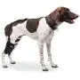 Caldera Pet Therapy Short Stifle Wrap with Gel, Medium, Black (PET207) Caldera Pet Therapy Short Stifle Wrap with Gel, Medium, Black (PET207)