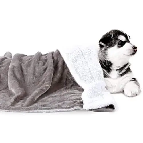 Pettom Waterproof Blanket Dog Mat Pet Liquid Pee Proof Blanket for Bed Couch Sofa Cat Bed Protector Cover for Baby Cozy Sherpa Lining Throws for Chairs Car Camping Boating 60x50in Pettom Waterproof Blanket Dog Mat Pet Liquid Pee Proof Blanket for Bed Couch Sofa Cat Bed Protector Cover for Baby Cozy Sherpa Lining Throws for Chairs Car Camping Boating 60x50in